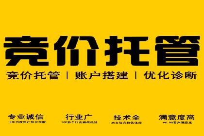 百度竞价广告投放策略案例